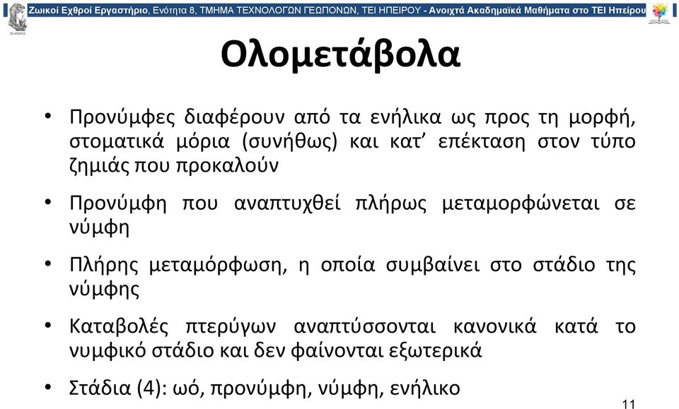 νύμφη Πλήρης μεταμόρφωση, η οποία συμβαίνει στο στάδιο της νύμφης Καταβολές πτερύγων