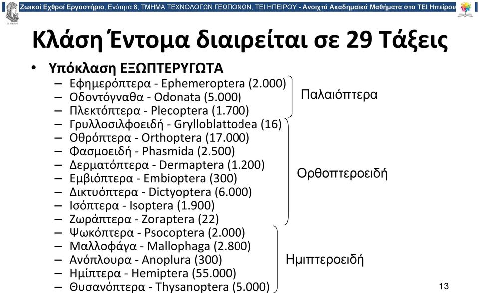 500) Δερματόπτερα Dermaptera (1.200) Εμβιόπτερα Embioptera (300) Δικτυόπτερα Dictyoptera (6.000) Ισόπτερα Isoptera (1.