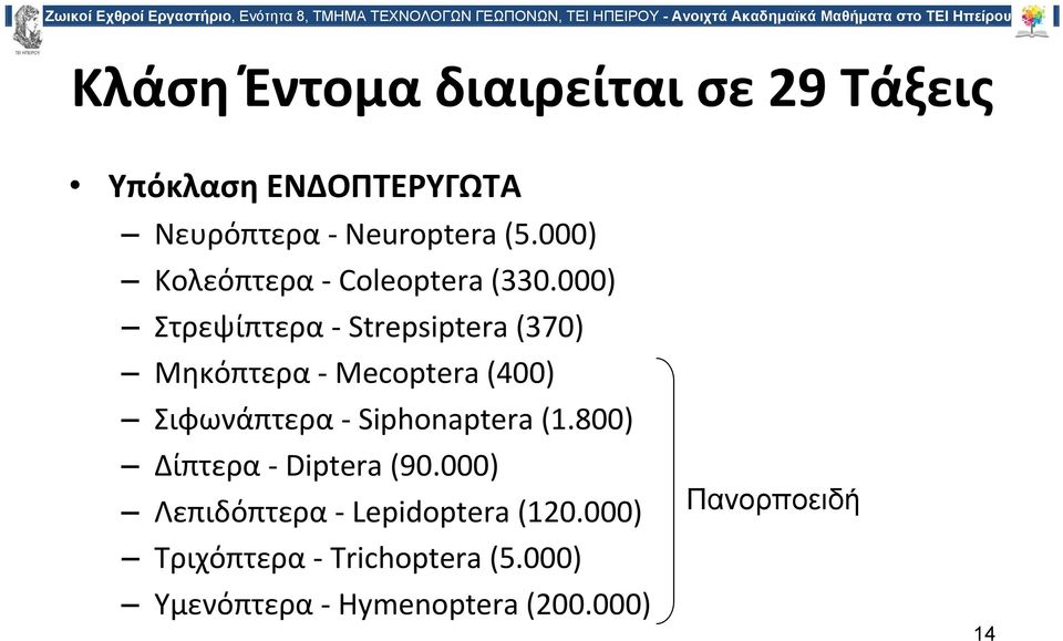 000) Στρεψίπτερα Strepsiptera (370) Μηκόπτερα Mecoptera (400) Σιφωνάπτερα Siphonaptera