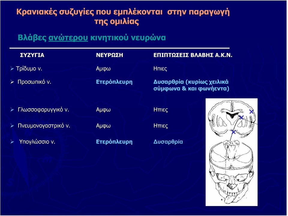 Αμφω Ηπιες Προσωπικό ν.