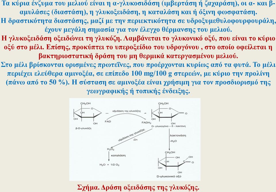 Λαμβάνεται το γλυκονικό οξύ, που είναι το κύριο οξύ στο μέλι. Επίσης, προκύπτει το υπεροξείδιο του υδρογόνου, στο οποίο οφείλεται η βακτηριοστατική δράση του μη θερμικά κατεργασμένου μελιού.