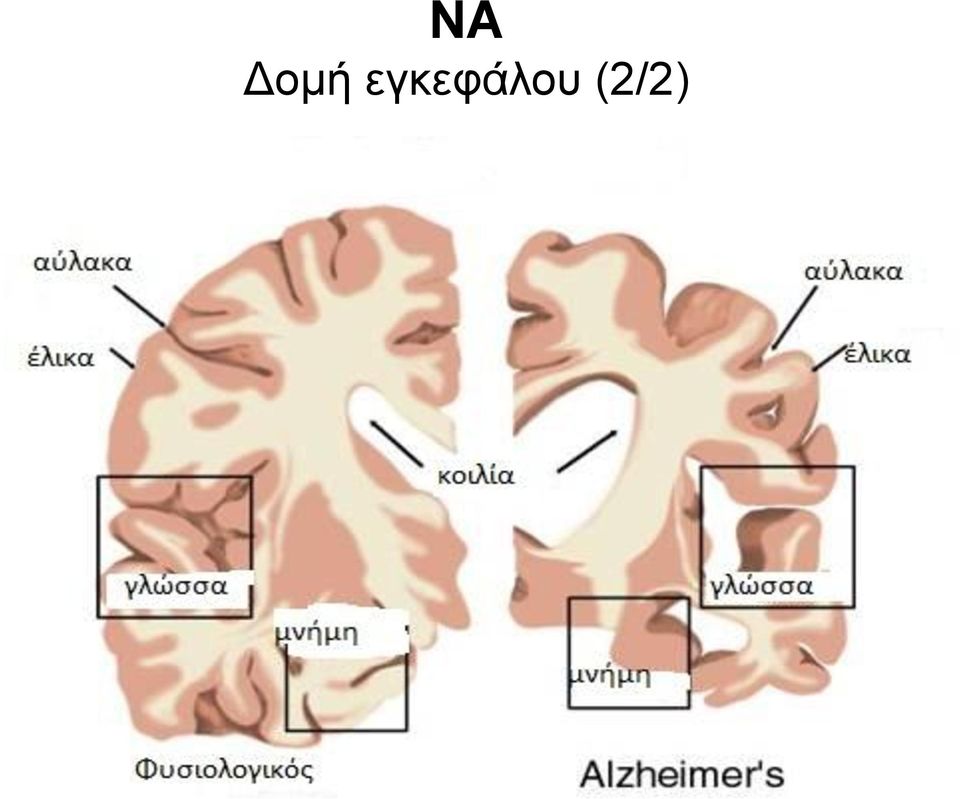 (2/2)