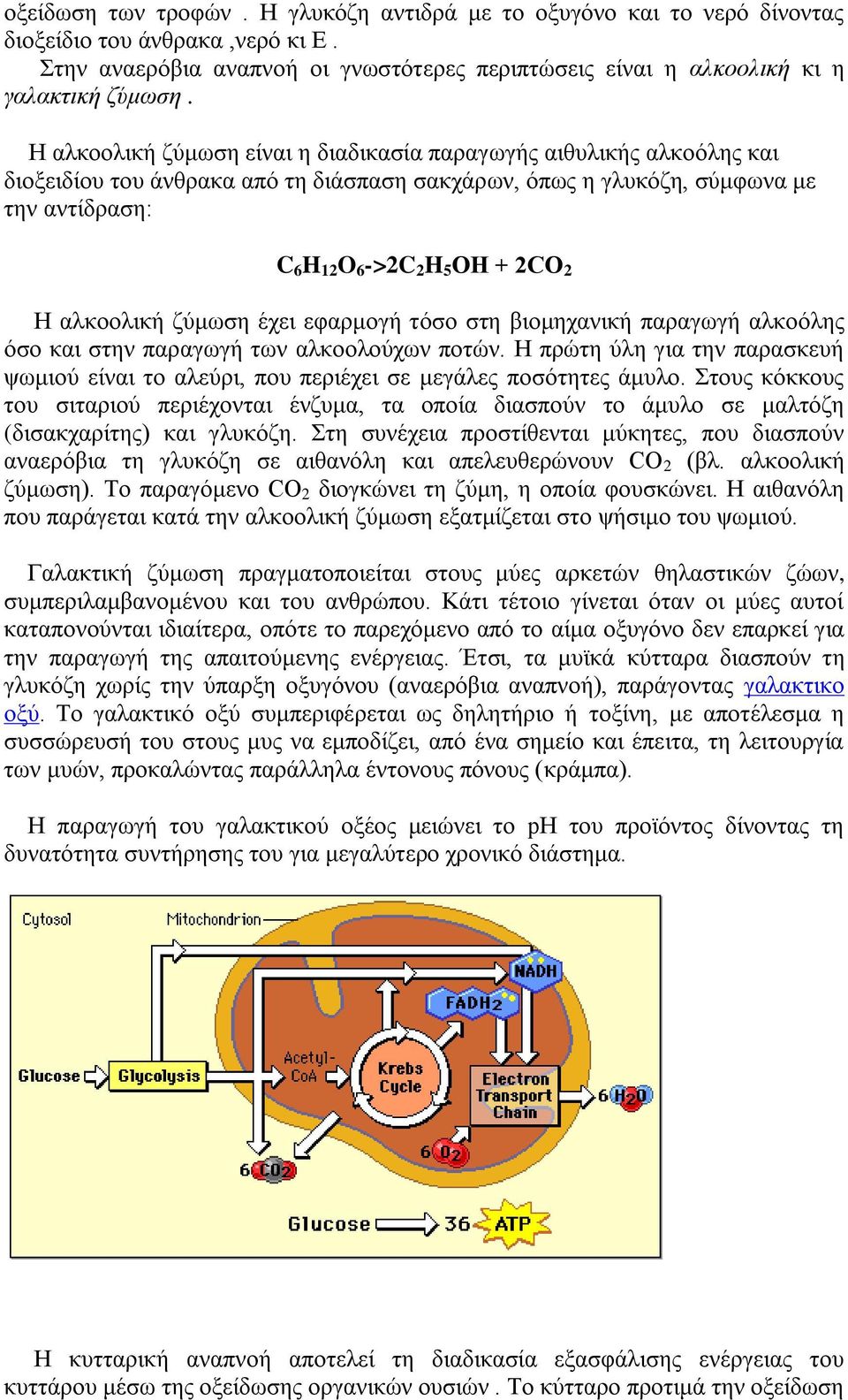 αλκοολική ζύμωση έχει εφαρμογή τόσο στη βιομηχανική παραγωγή αλκοόλης όσο και στην παραγωγή των αλκοολούχων ποτών.