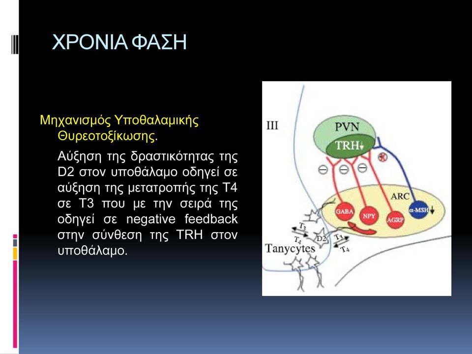 αύξηση της μετατροπής της Τ4 σε Τ3 που με την σειρά της