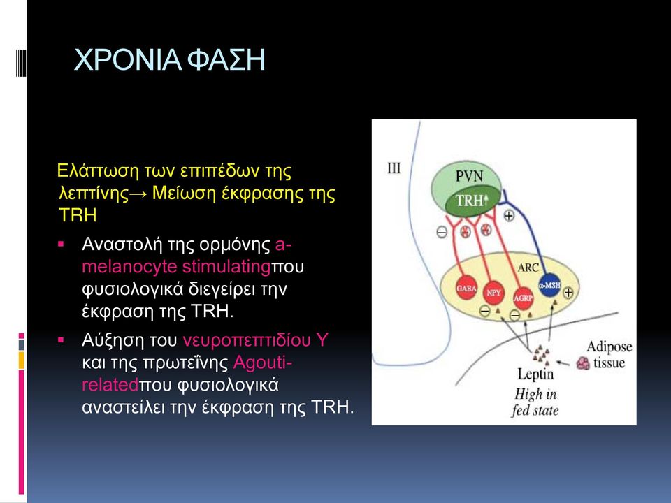 διεγείρει την έκφραση της TRH.