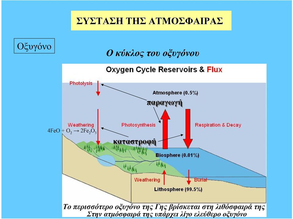 Το περισσότερο οξυγόνο της Γης βρίσκεται στη