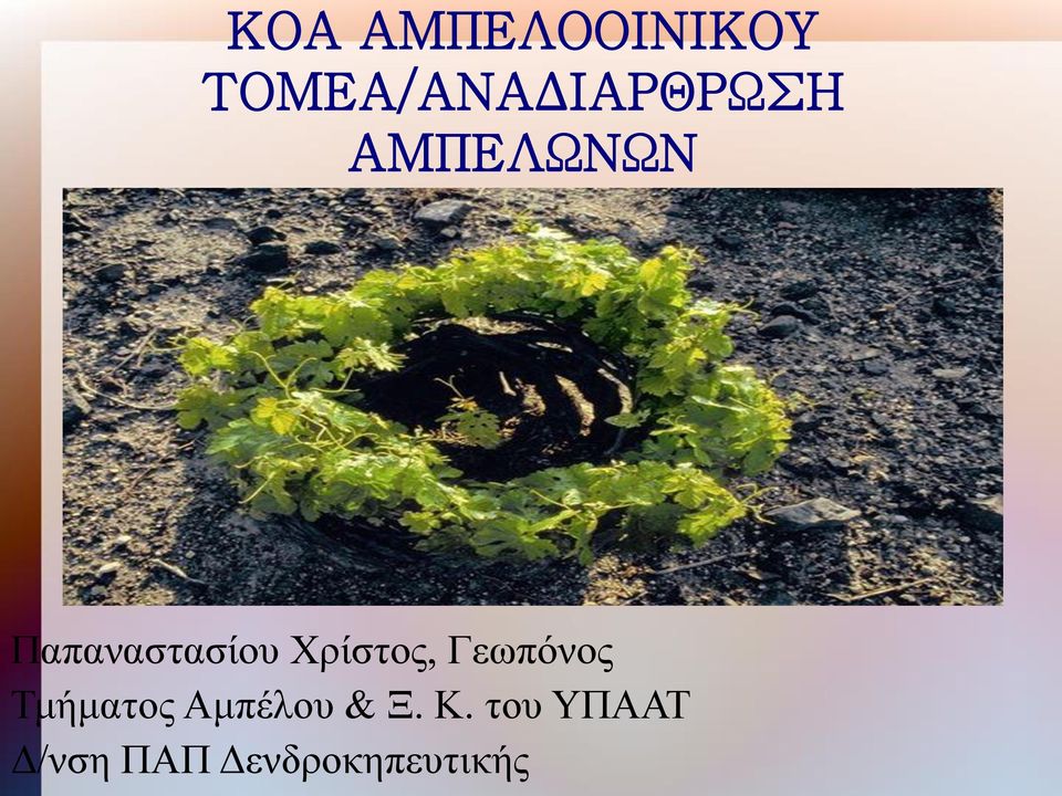 Παπαναστασίου Χρίστος, Γεωπόνος