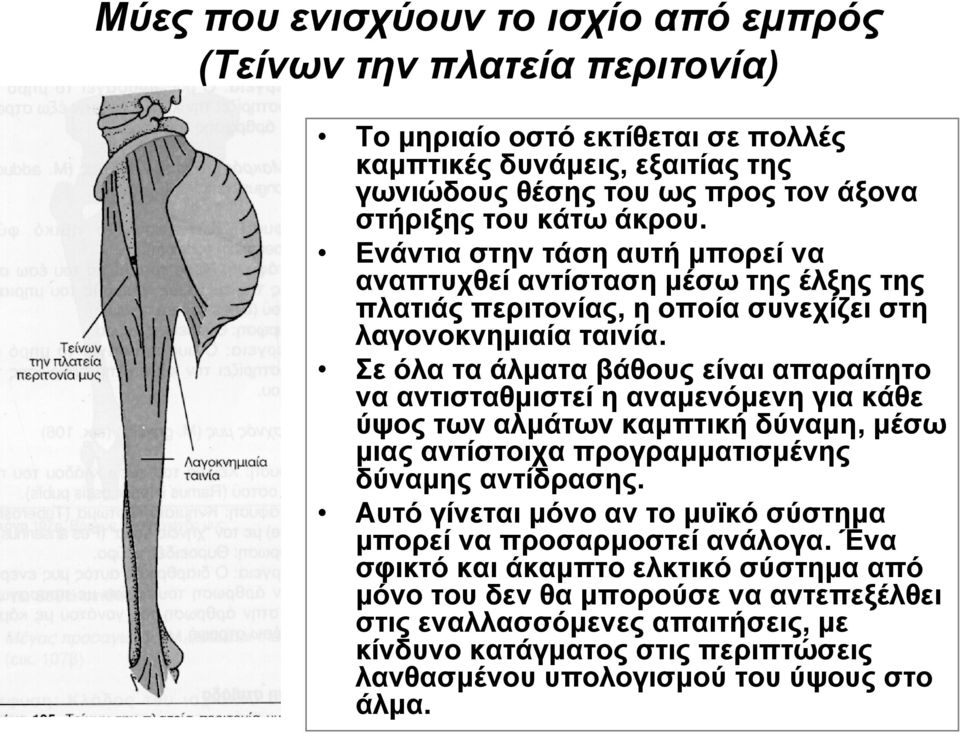 Σε όλα τα άλματα βάθους είναι απαραίτητο να αντισταθμιστεί η αναμενόμενη για κάθε ύψος των αλμάτων καμπτική δύναμη, μέσω μιας αντίστοιχα προγραμματισμένης δύναμης αντίδρασης.