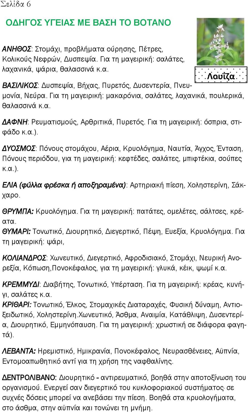 ΔΥΟΣΜΟΣ: Πόνους στομάχου, Αέρια, Κρυολόγημα, Ναυτία, Άγχος, Ένταση, Πόνους περιόδου, για τη μαγειρική: κεφτέδες, σαλάτες, μπιφτέκια, σούπες κ.α.).