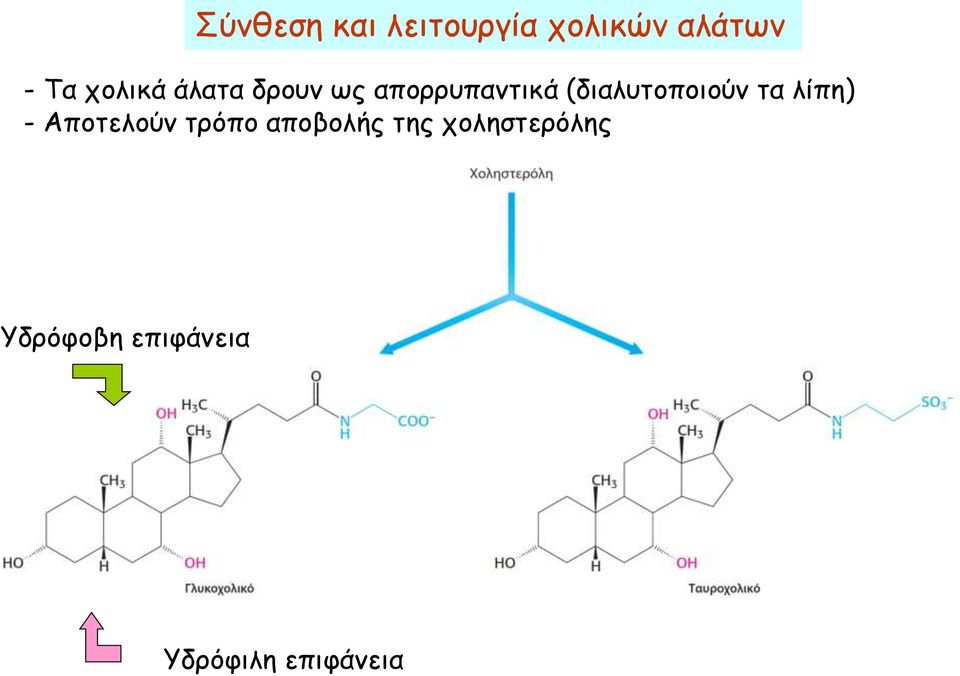 (διαλυτοποιούν τα λίπη) - Αποτελούν τρόπο