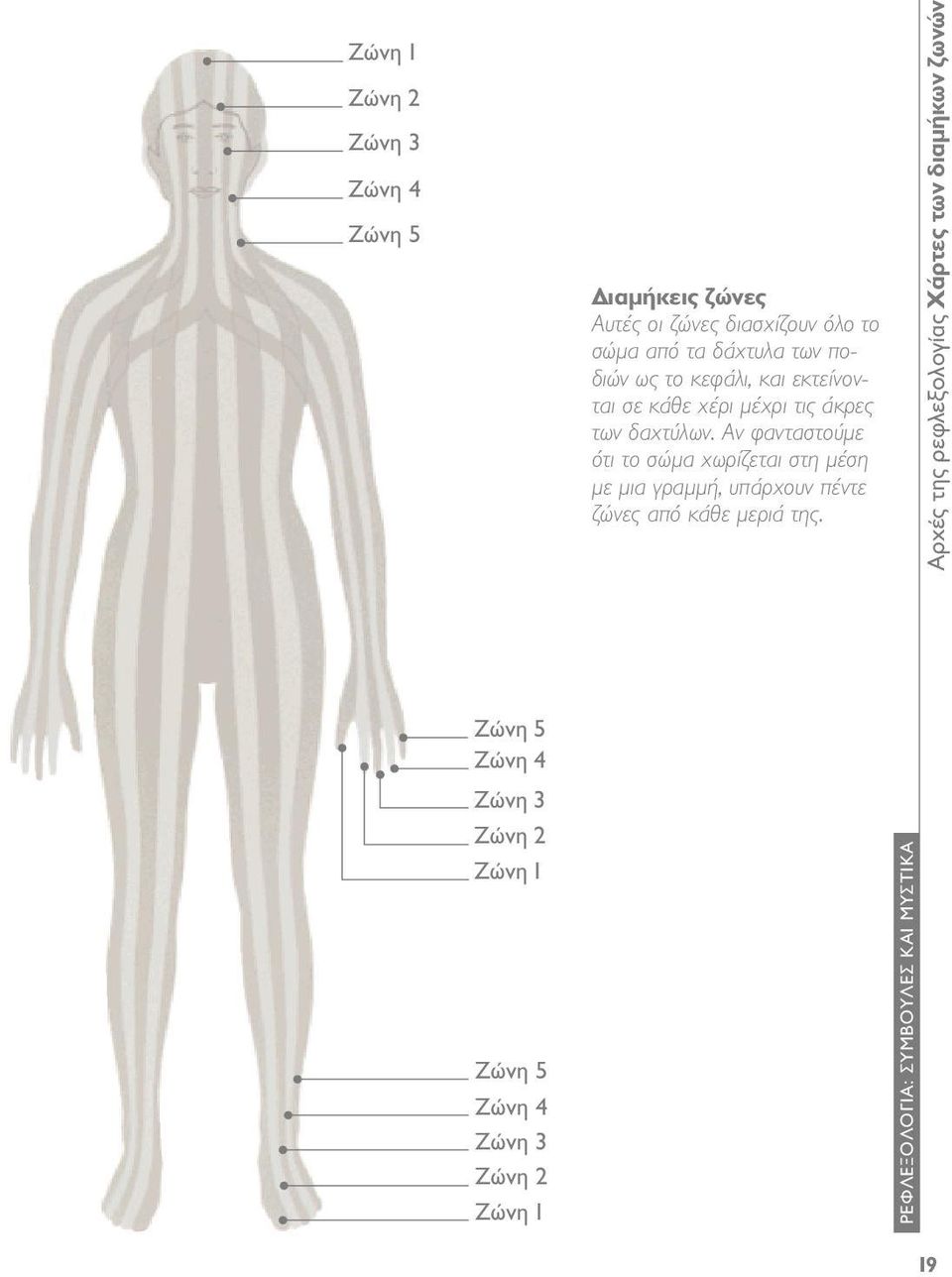 Αν φανταστούμε ότι το σώμα χωρίζεται στη μέση με μια γραμμή, υπάρχουν πέντε ζώνες από κάθε μεριά της.