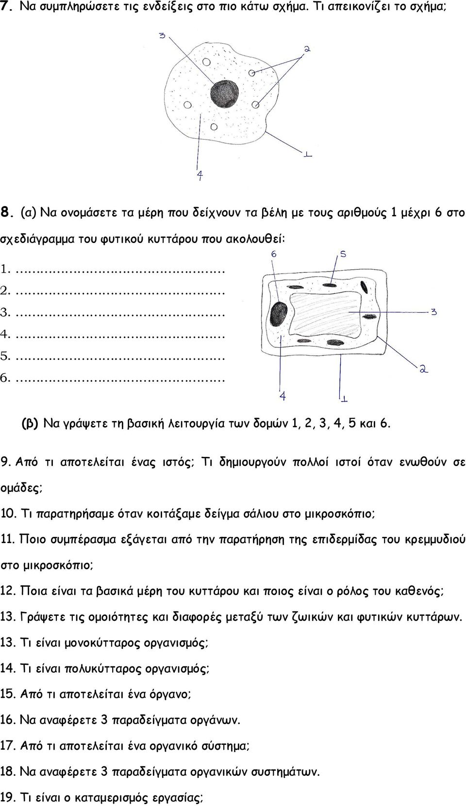 9. Από τι αποτελείται ένας ιστός; Τι δημιουργούν πολλοί ιστοί όταν ενωθούν σε ομάδες; 10. Τι παρατηρήσαμε όταν κοιτάξαμε δείγμα σάλιου στο μικροσκόπιο; 11.