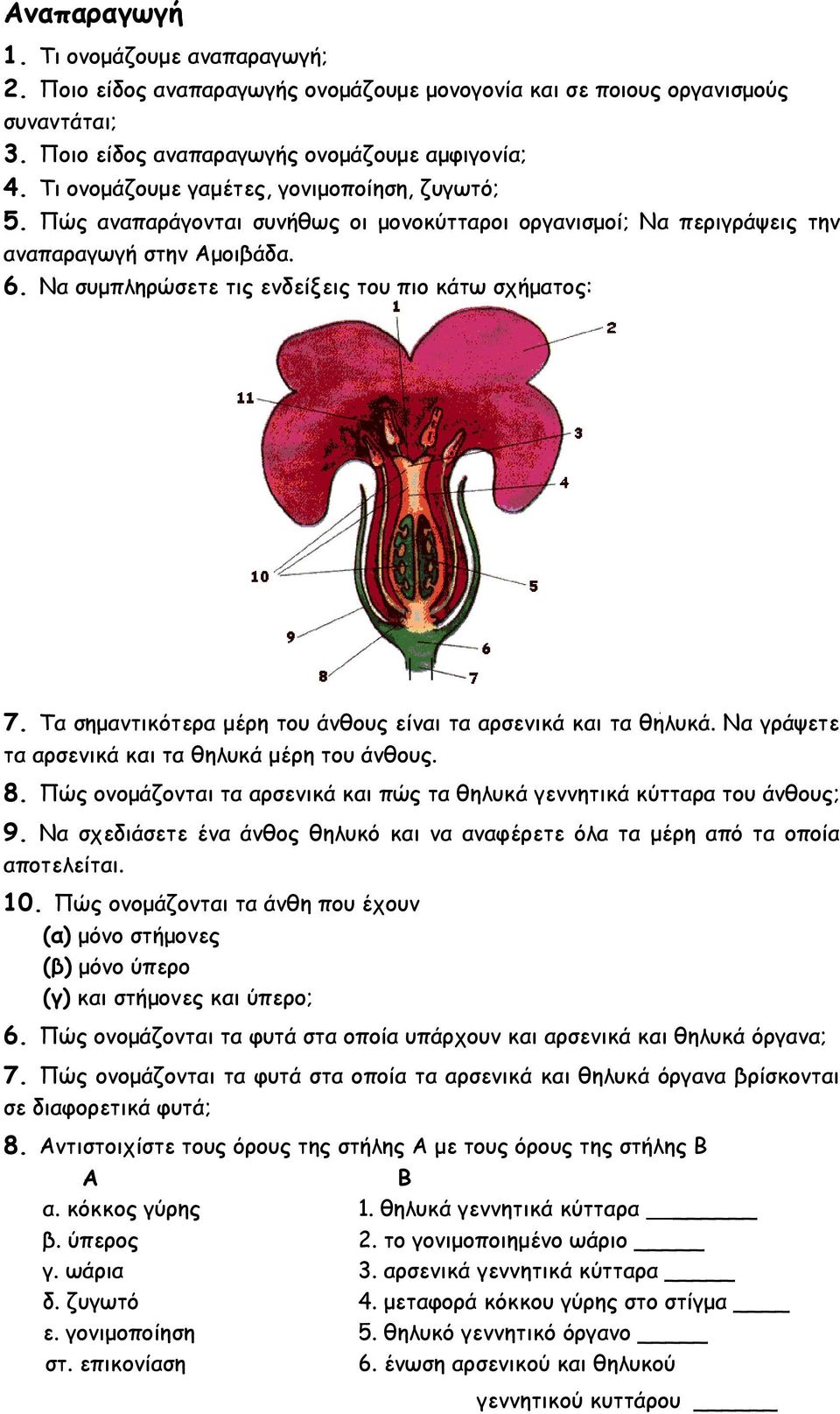 Να συμπληρώσετε τις ενδείξεις του πιο κάτω σχήματος: 7. Τα σημαντικότερα μέρη του άνθους είναι τα αρσενικά και τα θηλυκά. Να γράψετε τα αρσενικά και τα θηλυκά μέρη του άνθους. 8.