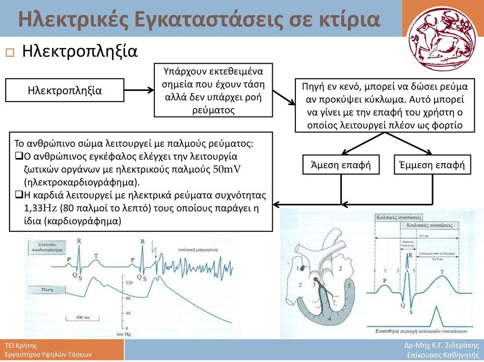 Η καρδιά λειτουργεί με ηλεκτρικά ρεύματα συχνότητας 1,33Hz (80 παλμοί το λεπτό) τους οποίους παράγει η ίδια (καρδιογράφημα) Πηγή εν κενό,