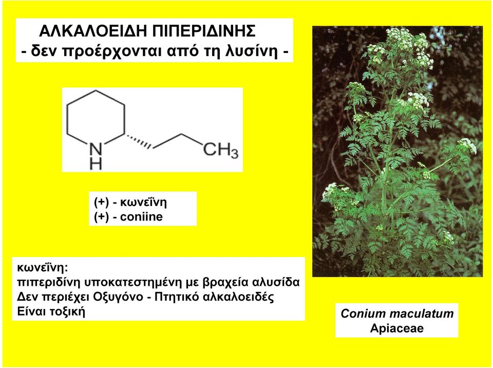 υποκατεστημένη με βραχεία αλυσίδα Δεν περιέχει Οξυγόνο