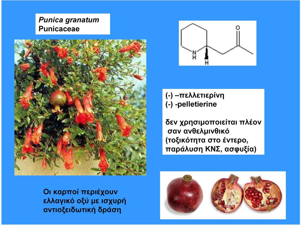 ανθελμινθικό (τοξικότητα στο έντερο, παράλυση ΚΝΣ,