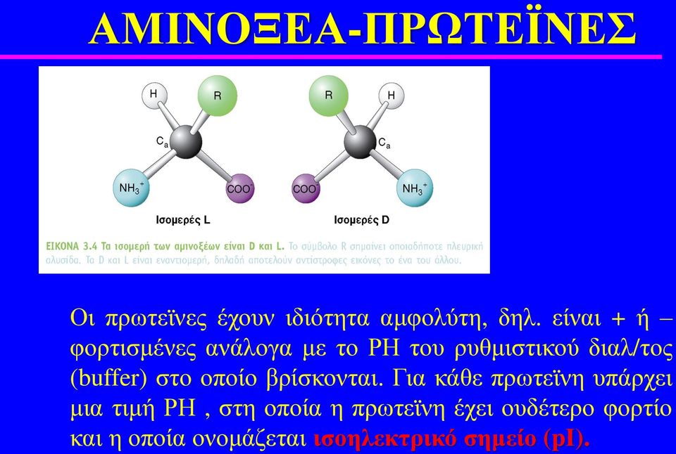 (buffer) στο οποίο βρίσκονται.