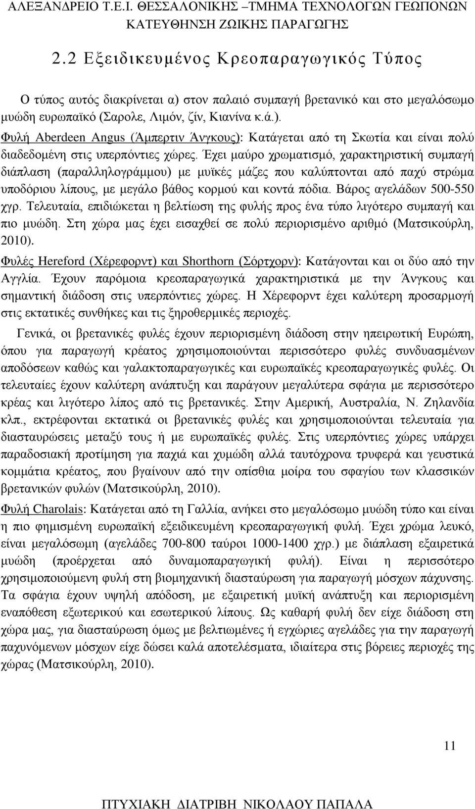 Βάρος αγελάδων 500-550 χγρ. Τελευταία, επιδιώκεται η βελτίωση της φυλής προς ένα τύπο λιγότερο συμπαγή και πιο μυώδη. Στη χώρα μας έχει εισαχθεί σε πολύ περιορισμένο αριθμό (Ματσικούρλη, 2010).