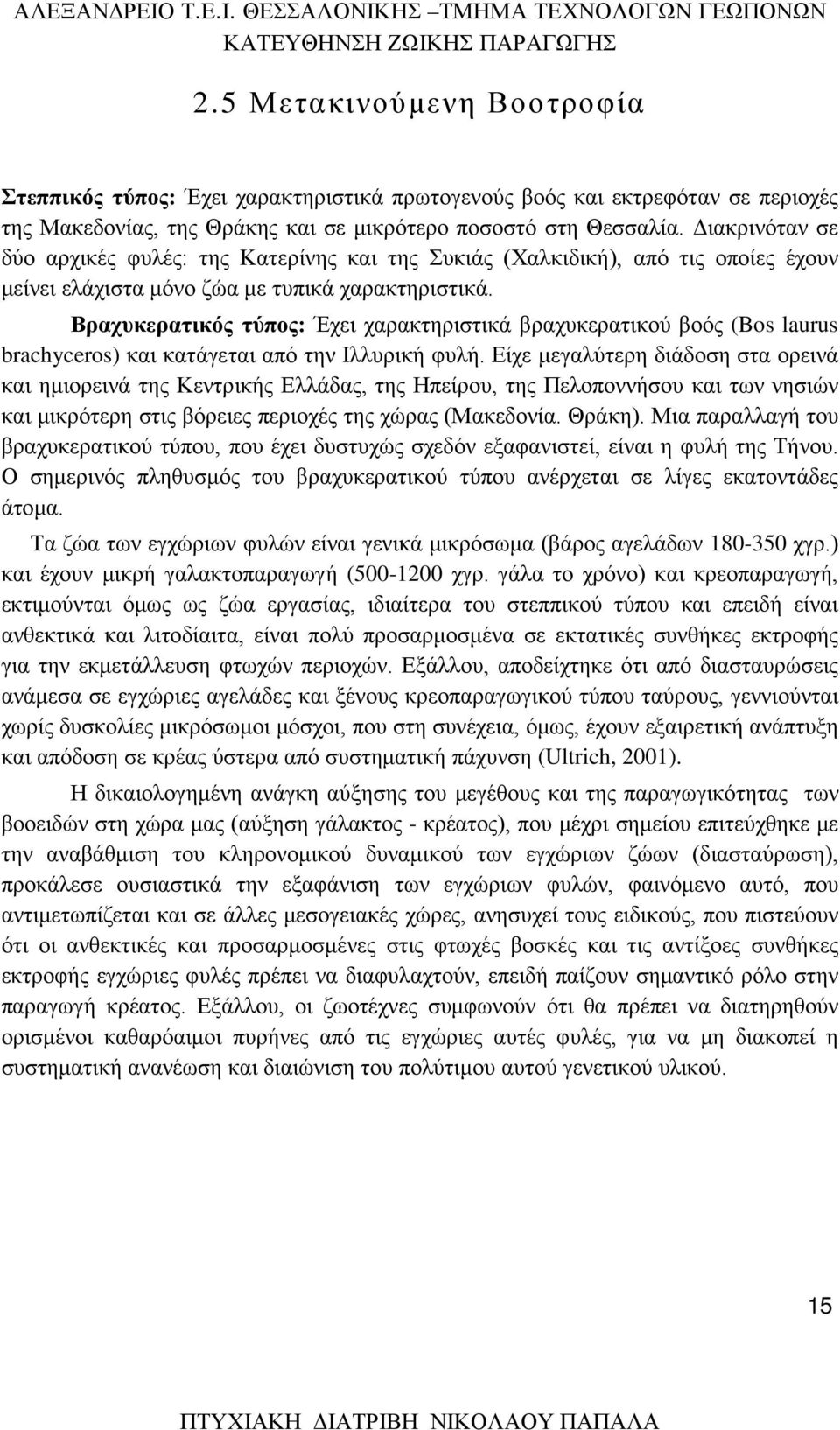 Βραχυκερατικός τύπος: Έχει χαρακτηριστικά βραχυκερατικού βοός (Bos laurus brachyceros) και κατάγεται από την Ιλλυρική φυλή.