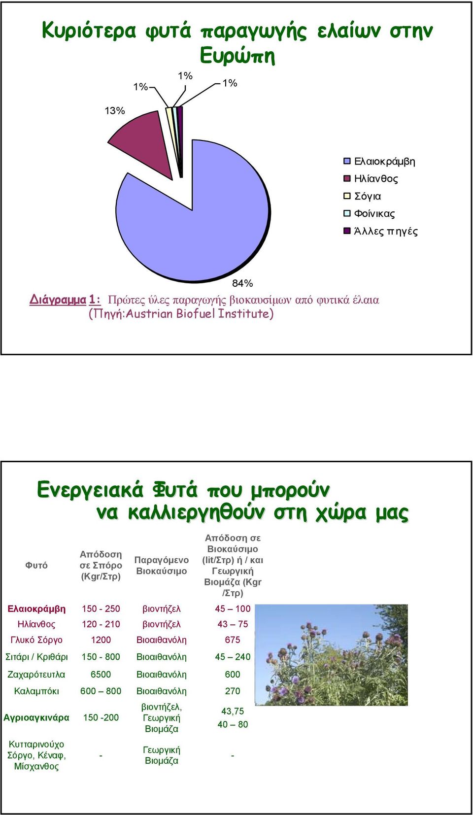 / και Γεωργική Βιομάζα (Kgr /Στρ) Ελαιοκράμβη 150-250 βιοντήζελ 45 100 Ηλίανθος 120-210 βιοντήζελ 43 75 Γλυκό Σόργο 1200 Βιοαιθανόλη 675 Σιτάρι / Κριθάρι 150-800 Βιοαιθανόλη 45