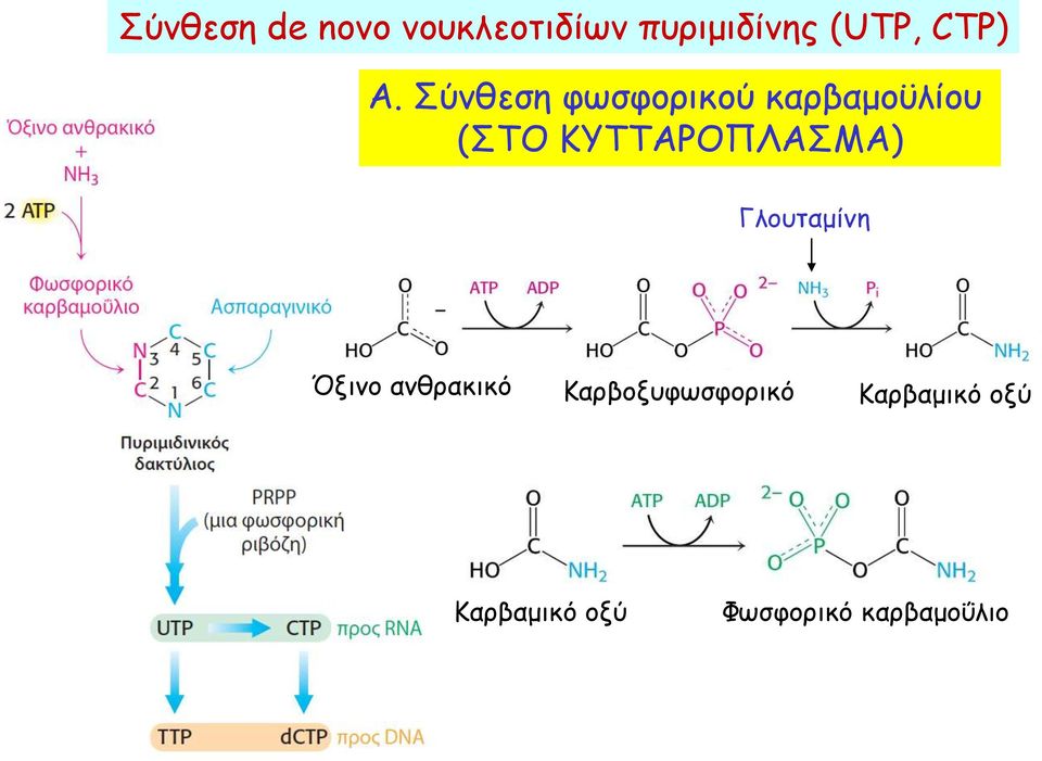 Σύνθεση φωσφορικού καρβαμοϋλίου (ΣΤΟ