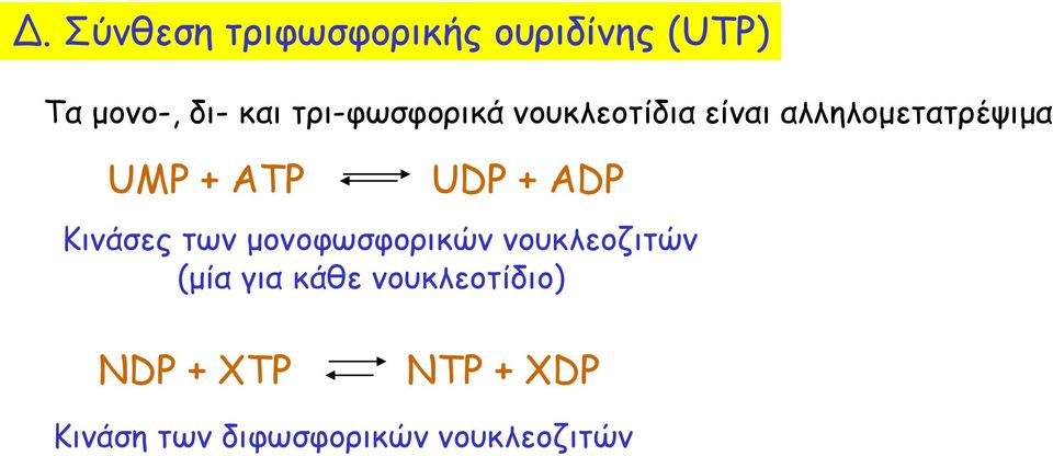 UDP + ADP Κινάσες των μονοφωσφορικών νουκλεοζιτών (μία για κάθε