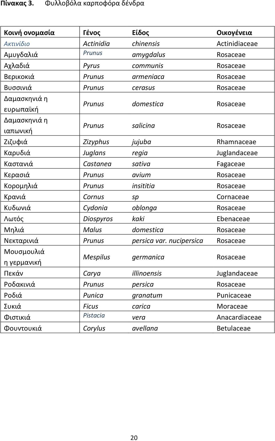 armeniaca Rosaceae Βυσσινιά Prunus cerasus Rosaceae Δαμασκηνιά η ευρωπαϊκή Δαμασκηνιά η ιαπωνική Prunus domestica Rosaceae Prunus salicina Rosaceae Ζιζυφιά Zizyphus jujuba Rhamnaceae Καρυδιά Juglans