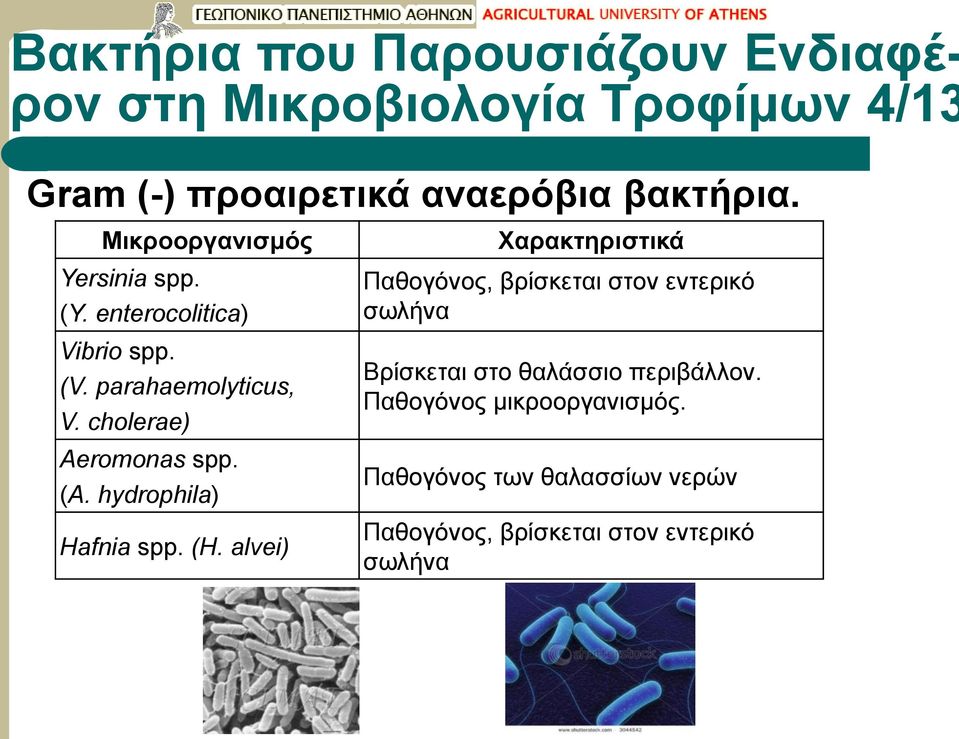 hydrophila) Hafnia spp. (H.