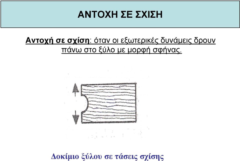 δυνάµεις δρουν πάνω στο ξύλο µε