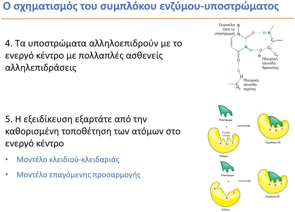 ασθενείς αλληλεπιδράσεις 5.