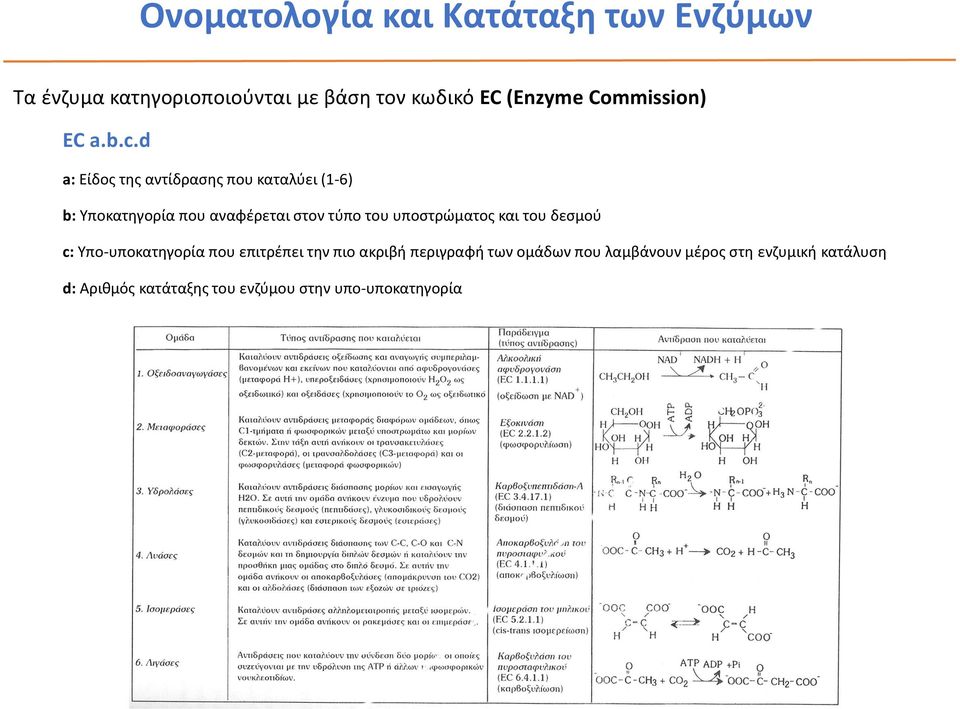 d a: Είδος της αντίδρασης που καταλύει (1-6) b: Υποκατηγορία που αναφέρεται στον τύπο του