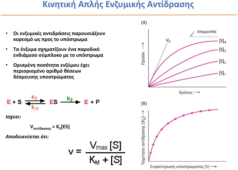 σύμπλοκο με το υπόστρωμα Ορισμένη ποσότητα ενζύμου έχει περιορισμένο αριθμό