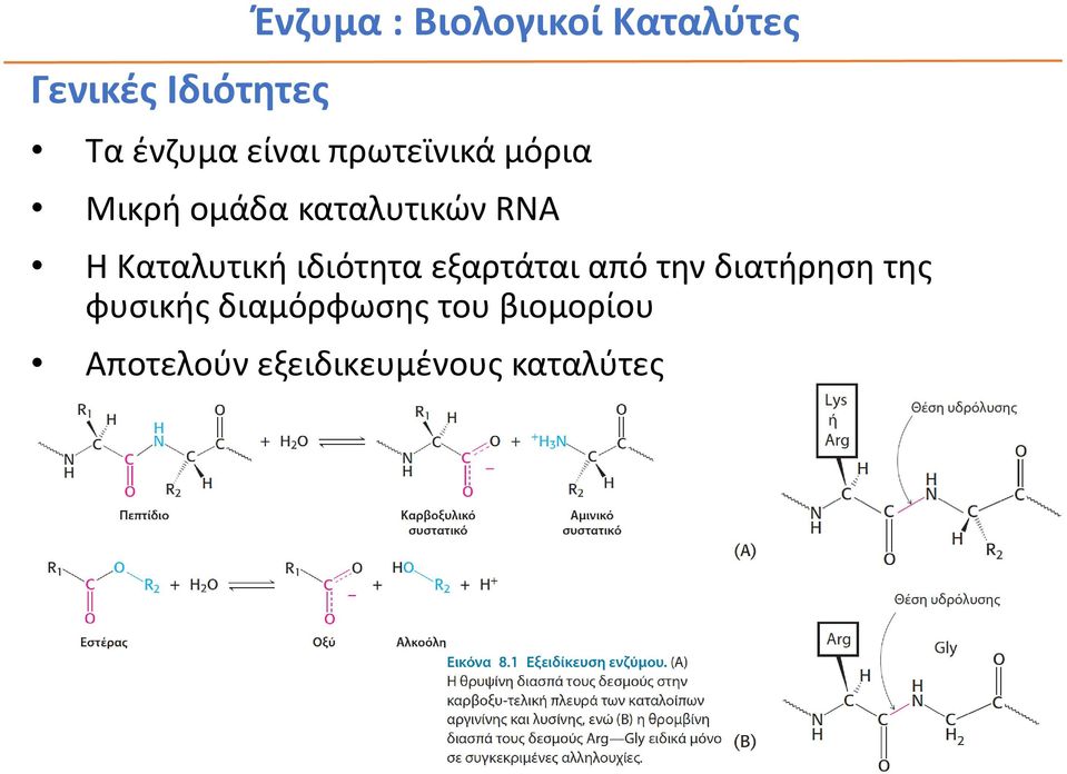 Καταλυτική ιδιότητα εξαρτάται από την διατήρηση της