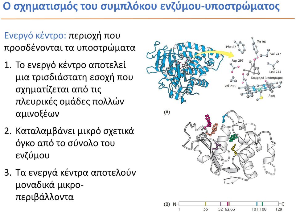 Το ενεργό κέντρο αποτελεί μια τρισδιάστατη εσοχή που σχηματίζεται από τις