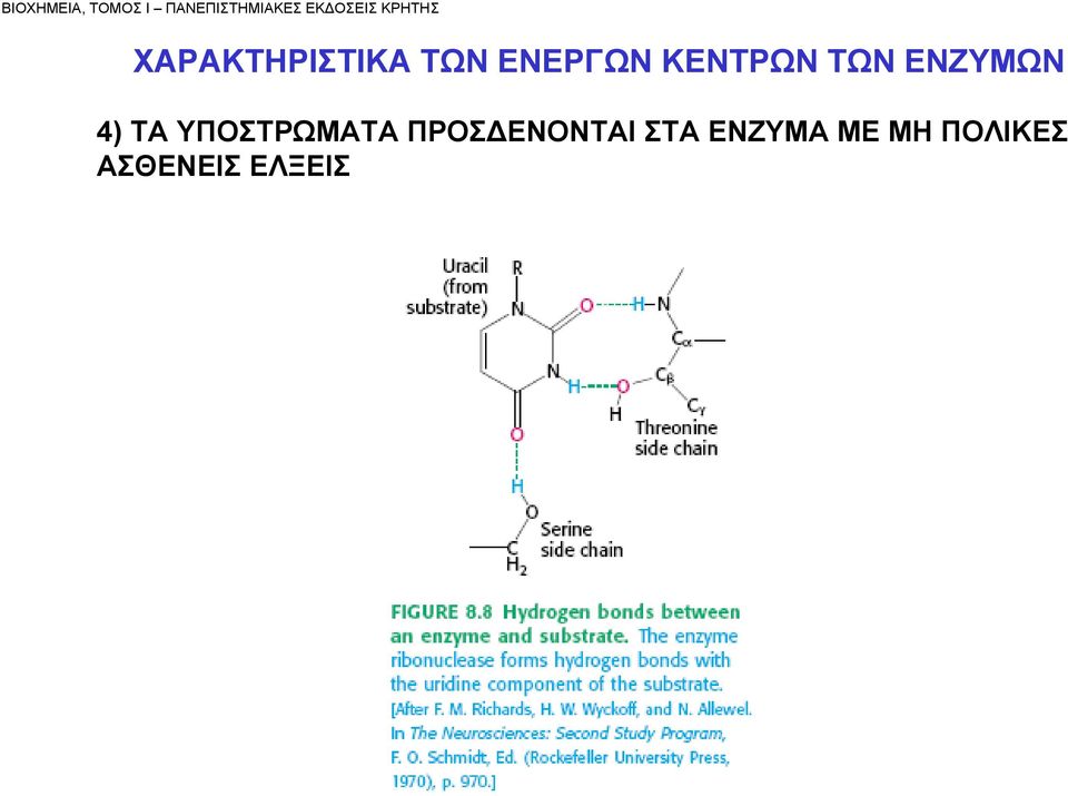 ΚΕΝΤΡΩΝ ΤΩΝ ΕΝΖΥΜΩΝ 4) ΤΑ ΥΠΟΣΤΡΩΜΑΤΑ