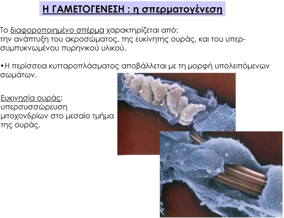 πυρηνικού υλικού.