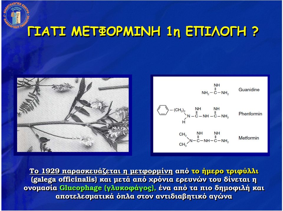 (galega officinalis) και µετά από χρόνια ερευνών του δίνεται η