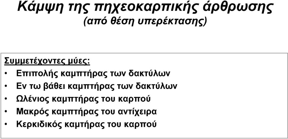 Εν τω βάθει καμπτήρας των δακτύλων Ωλένιος καμπτήρας