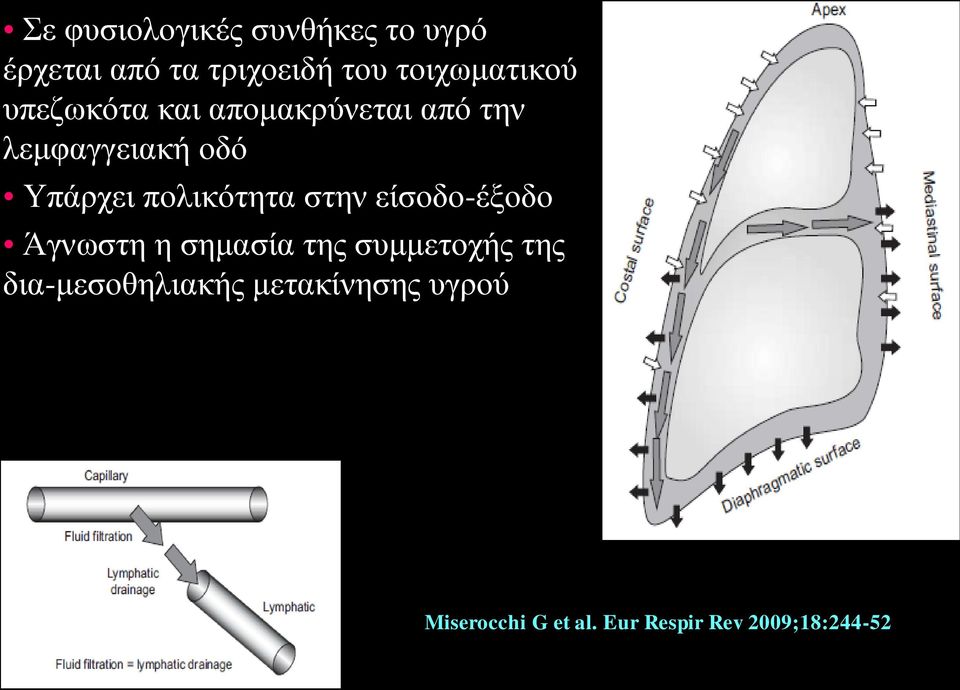 Υπάρχει πολικότητα στην είσοδο-έξοδο Άγνωστη η σημασία της συμμετοχής