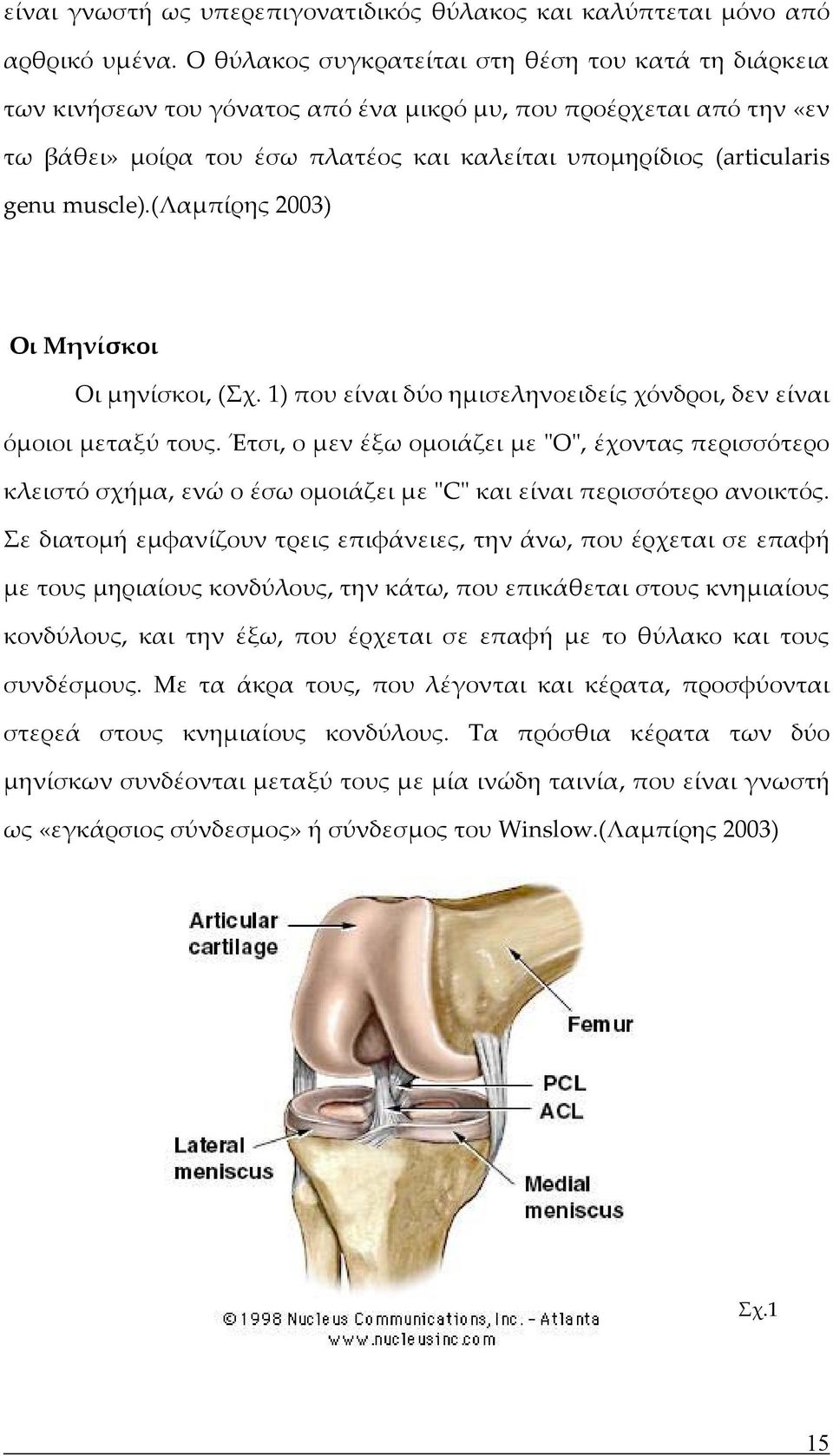 muscle).(λαμπίρης 2003) Οι Μηνίσκοι Οι μηνίσκοι, (Σχ. 1) που είναι δύο ημισεληνοειδείς χόνδροι, δεν είναι όμοιοι μεταξύ τους.