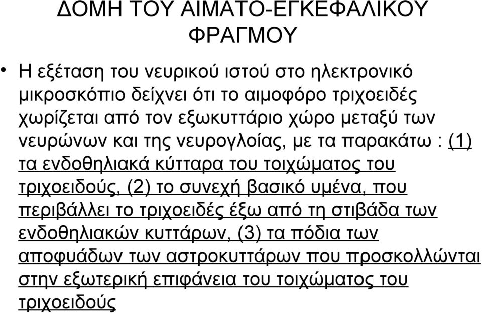 κύτταρα του τοιχώματος του τριχοειδούς, (2) το συνεχή βασικό υμένα, που περιβάλλει το τριχοειδές έξω από τη στιβάδα των