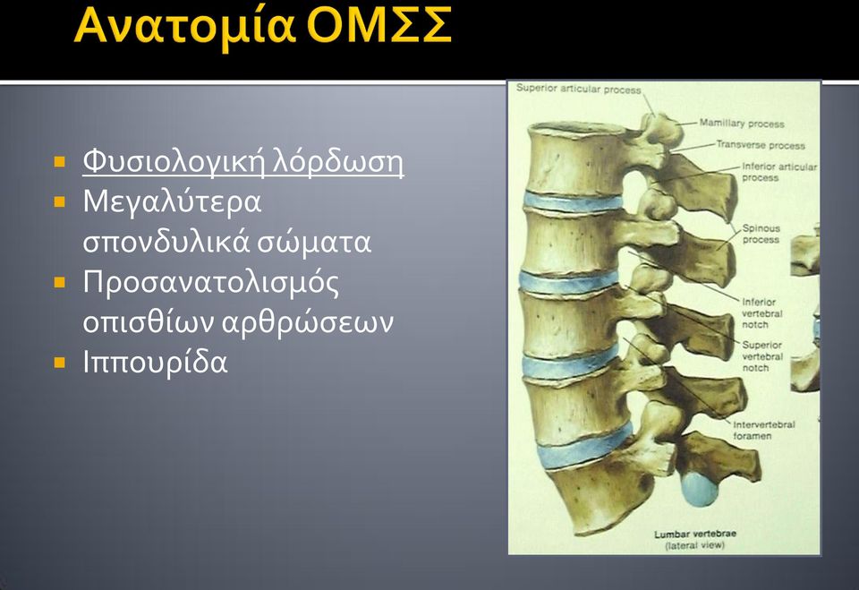 σώματα Προσανατολισμός