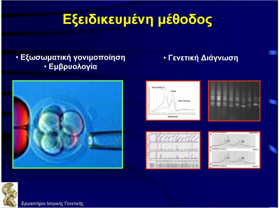 Εμβρυολογία Γενετική