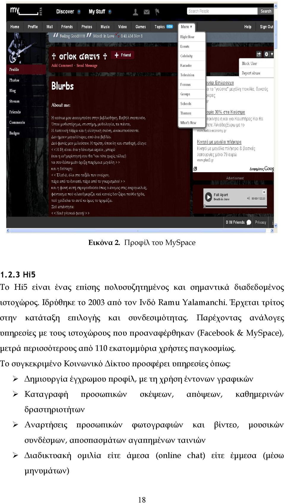 Παρέχοντας ανάλογες υπηρεσίες με τους ιστοχώρους που προαναφέρθηκαν (Facebook & MySpace), μετρά περισσότερους από 110 εκατομμύρια χρήστες παγκοσμίως.