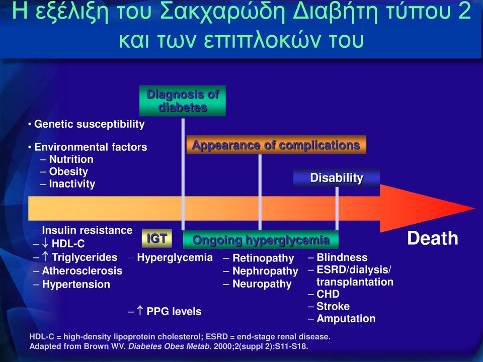 Hypertension PPG levels Ongoing hyperglycemia Retinopathy Nephropathy Neuropathy Blindness ESRD/dialysis/ transplantation CHD Stroke