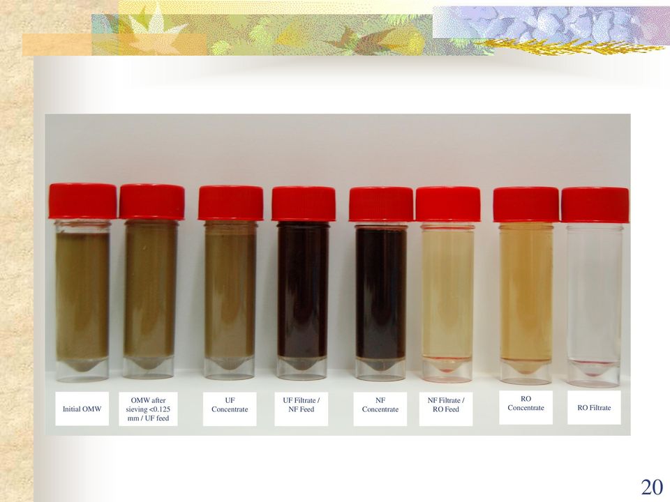 Filtrate / NF Feed NF Concentrate NF