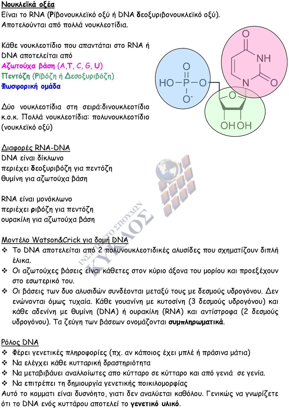 εοτίδιο που απαντάται στο RNA ή DNA αποτελείται από Αζωτούχα βάση (A,T, C, G, U) Πεντόζη (Ρίβόζη ή εσοξυριβόζη) Φωσφορική