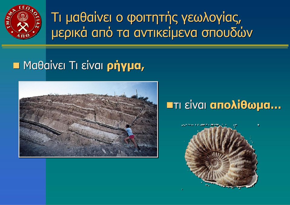 αντικείμενα σπουδών