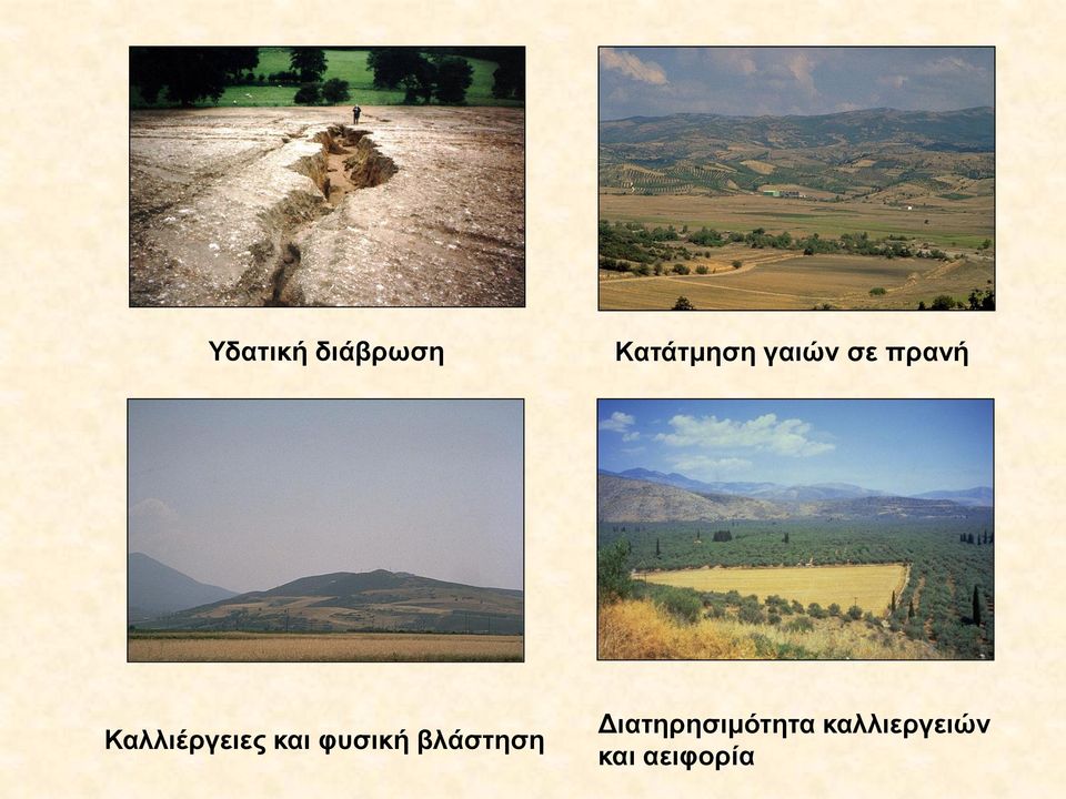 και φυσική βλάστηση
