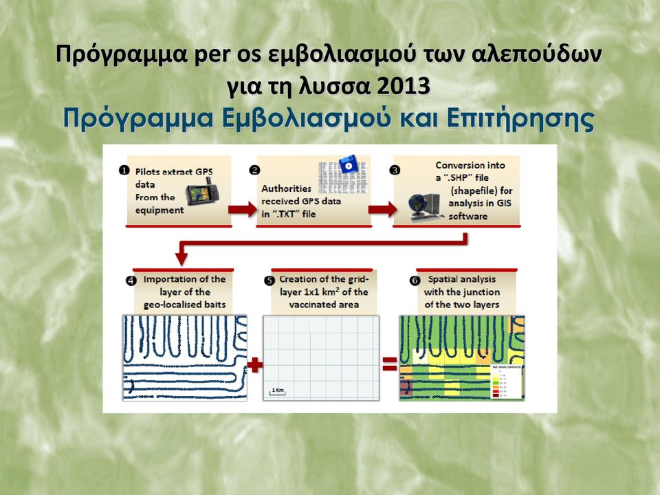 αλεπούδων για τη λυσσα
